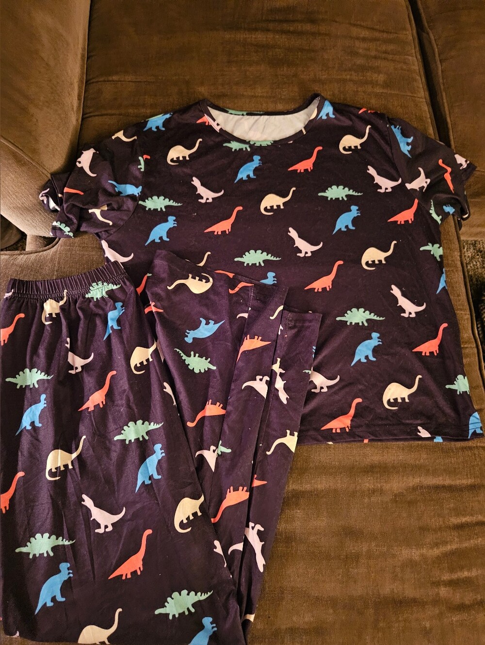 This Colorful Dinosaur Print Pajama Lounge 2-piece Set In Size Large L